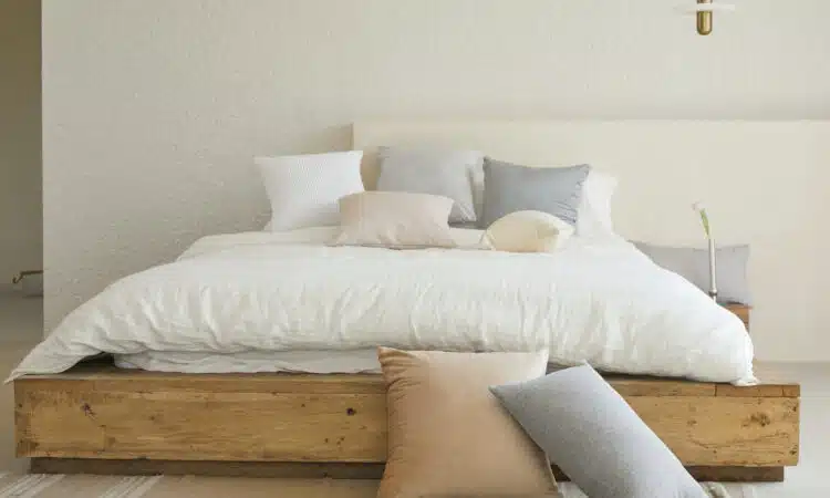 Éliminez les punaises de lit rapidement avec l'aide d'un professionnel !